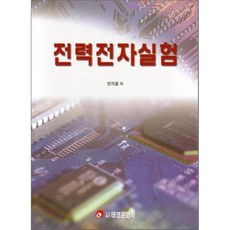전력전자시스템제어를위한