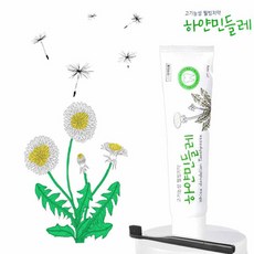 하얀 민들레 치약 (5개) 민들레+프로폴리스+자일리톨 고기능성 웰빙치약, 150g, 5개