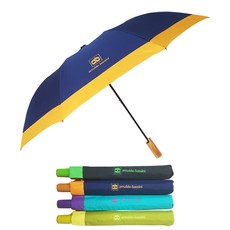 아놀드바시니우산