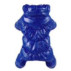 ib대학