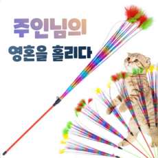고양이 영혼 탈곡기 깃털 낚시대 장난감 지랄봉 낚싯대