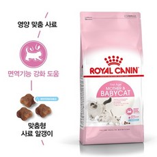 로얄캐닌 마더 앤 베이비캣 400g, 1개