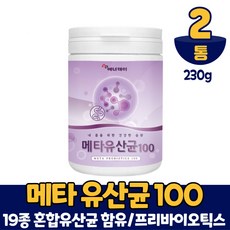 메타포트프로2