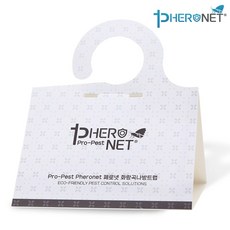 쌀나방