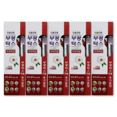 부광약품 부광탁스 프리미엄 치약 150g+부광탁스 칫솔 1개, 150g, 5세트