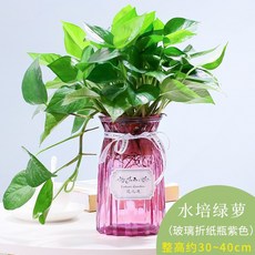 jingrunlai 경 윤 금품 을 하사 하 다.