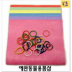 애견미용배우기 애완견샵 랩핑지세트 애견미용용품 애견미용학과 반려동물미용 셀프애견미용 미용제품