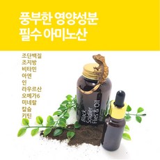 주먹이운다