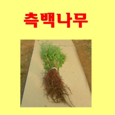 5617068bf52171cb8349fb26104a787a41a07552b730601eed3cc6b54865.png