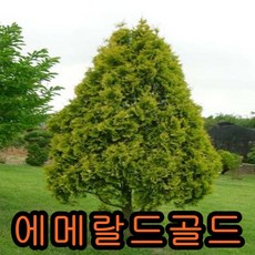 c13d8aa5b51c0a02992137f5627bc4478ce37189106eda765d2240835392.jpg
