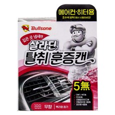 불스원 불스원 살라딘 에어컨 히터용 탈취 훈증캔 무향 48g, 1개