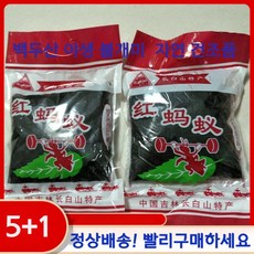 불개미 250g봉지 백두산 자연산 천연강장제 한약건조, 1, 250g