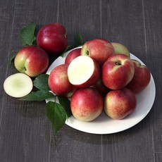 24년 고당도 경북 제철 신비 복숭아 2kg 로얄과/20과내외