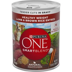 Purina ONE SmartBlend 텐더 컷 그레이비 양고기 현미 앙트레 성인 통조림 개밥, 13-oz case of 12 1