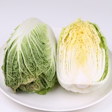 8623624e77a49a8348a846276ddee494a5b83946e9433985e0e33dc0f398.jpg