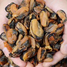 홍합제철 홍합손질 반건조홍합 건조홍합, 건홍합 500g, 1개