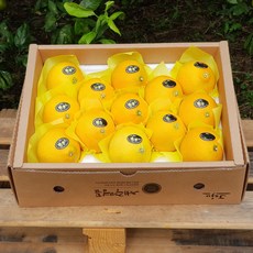 추석과일선물 제주 황금향 2kg 3kg 5kg(선물용) 제철을 맞아 더욱 풍성하고 향긋한 추석선물세트!, 2kg(7-9수)