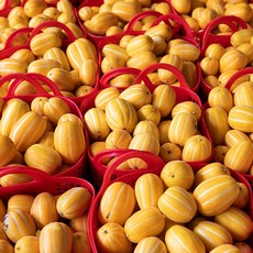 성주 꿀 참외 고당도 신선도 관리철저, 1박스, 가정용 랜덤 2kg