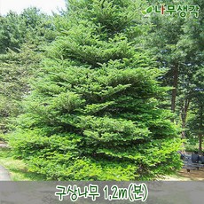 3f3669e5c6f33895835fc0c8623d243d92c2a7e446f33687cc69cd48db5b.jpg