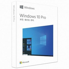 Windows 10 Pro FPP 한글 처음사용자용 단품