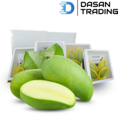 태국 그린망고 (Thailand Green Mango), 2.0kg (8개), 8개