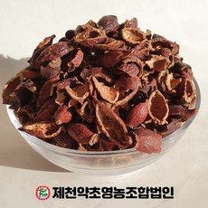 금앵자