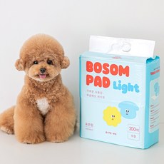 정직한패드400매