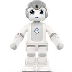 연예인 인공지능 AI 학습형 로봇 영어 중국어 지원 조카 선물 키덜트, 패키지3