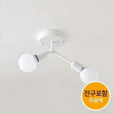 조명프라자 카빌 2등 직부등, 화이트+전구포함(LED볼구-흰빛)