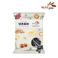 넛츠피아 건블루베리, 1개, 500g