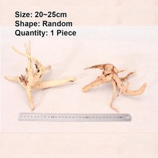 여수아쿠아리움식당