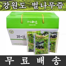 자연애선물 벌나무즙, 100ml, 60개