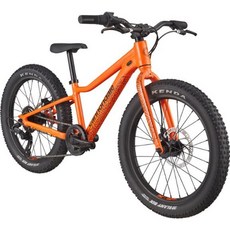 캐논데일 Trail Plus 20inch 키즈 바이크, 오렌지, 20IN