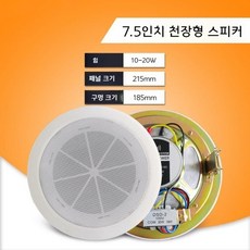 쉐이크본 TOP01