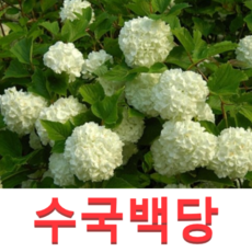 7383d391a1b936a58a90a2d3ad2048d4da02ba40853f2cff9df31777d311.png