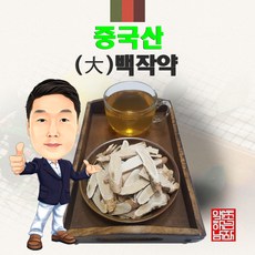 axb30601대백