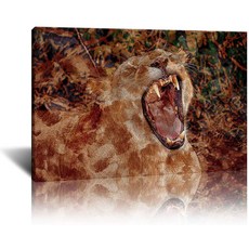 라이오플라이어멜로디