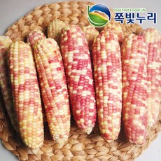 얼룩이옥수수