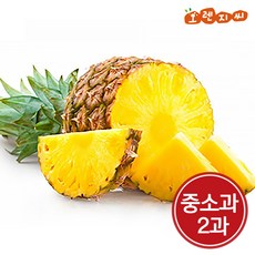 고당도 골드파인애플 2과(소과)2.5kg 내외, 단품