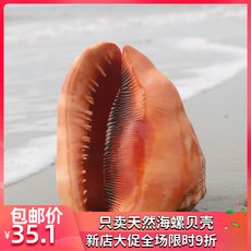 e1989810b3ad37946e10336b149f770266ac5e1c63fa6c0a4253e8b0e51b.jpg