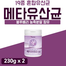메타포트프로2