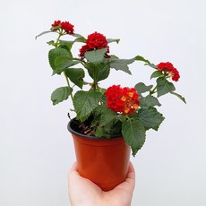 2e7cb739fc600bb7541d1cfa2b4aaa7b8c157d3c803509b85fb89d8108a9.jpg