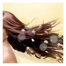 허벌에센스컨디셔너