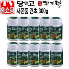 당앤고 고성 꾸지뽕 분말파우더 환 꾸찌뽕 산지직송