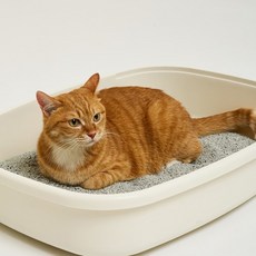 생활공작소벤토나이트고양이모래6kg