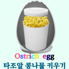 타조알