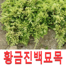 7a333ad06d26c1b209aae18aa4874b0121fd5f03b37d82a156fa32af8854.png