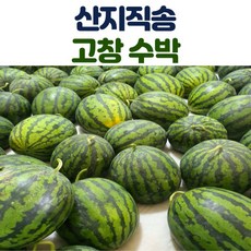 산지직송 고창 수박 5kg 6kg내외