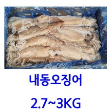 오징어 선동오징어 2.7~3kg 냉동오징어 10마리 내외, 1box, 3k내외