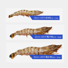 검증된 퀄리티 기니산 킹타이거 새우 최대 40cm 킹타이거 새우